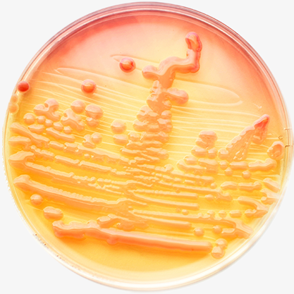 anti microbial